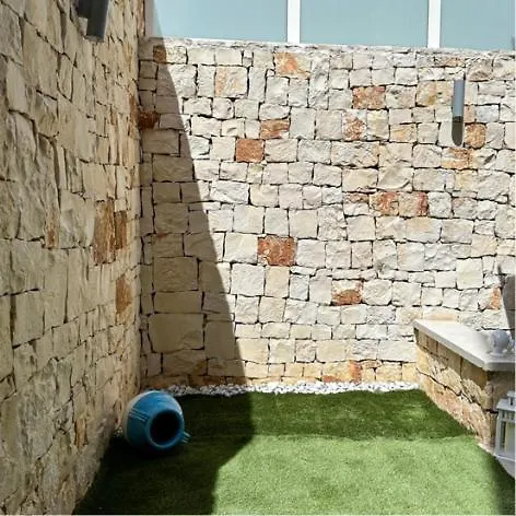 Suite Cala Paura-1