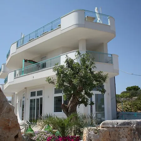 B&B Alalama-3